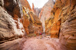 © Galyna Andrushko - Hike in Capitol Reef
