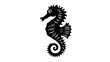 © Mundhut - A silhouette of a seahorse, black against white, showing decorative patterns and a curly tail