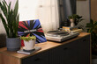 © pressmaster - Vinyl record player standing on wooden cabinet next to potted plants and stack of books, colorful rock music album cover displayed upright beside turntable near window