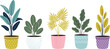 © MDShakhawat - Modern houseplant collection in decorative pots with colorful indoor foliage flat vector illustration set isolated on dark background
