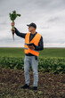 © standret - In orange colored uniform. Male farmer is standing and holding beet on the agricultural field