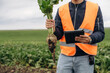 © standret - Male farmer is standing and holding beet on the agricultural field