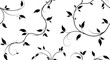 © Apolobay - Black leafy vines on white background.