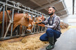 © Serhii - Farmer using digital tablet and examining cows in stable