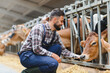 © Serhii - Farmer taking care of jersey cattle in cowshed