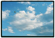 © Milles Team/Stocksy - Kites in the sky