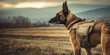 © AnaKonda.ai - Working military dog standing alert in a vast outdoor landscape