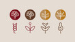 © Adam - Collection of stylized plant-based illustrations, featuring circles and simple line art