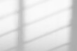 © Uuganbayar - window shadow Tropical plant overlay element for portrait easy to use PNG