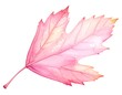 © akun - A singular watercolor illustration of a vibrant pink autumn leaf, exhibiting delicate veining and a translucent quality