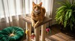 © Pixelia - An alert orange tabby cat sits proudly atop a scratching post in a sunlit room, looking directly at the camera.
