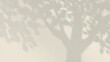 © Sabbir Digital - Natural Tree Shadow on a Light Beige Wall Creating an Organic Summer Atmosphere
