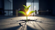 © STORE IS MINE - A small green plant grows through cracked concrete with a bright light shining behind it and a white arrow graph rising to the right, symbolizing growth and success in a challenging environment.