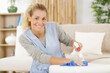 © auremar - woman spraying cleanser on sofa