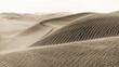 © PPJ - Les dunes du désert du Namib