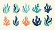 © MASJAB - Coral Reef Elements