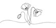 © DESIGN LINE - Elegant single line art of beautiful flowers blossoming on a white background, Poppy flowers Continuous line drawing. Minimalist modern art, hand draw one continuous line art Poppy flowers, Elegant