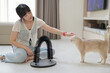 © Jirawatfoto - Asian woman feeling happy playing with pet cat inside living room home improving mental health and general wellness creating friendly environment with scratching toy