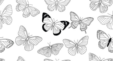 Naklejka na meble Seamless pattern of various butterfly species in detailed black and white line art is shown on a white background for nature themed fabric.