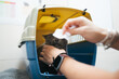 © Gonzalo Infiesta - Veterinarian checking cat health inside carrier at clinic