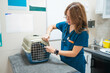 © Gonzalo Infiesta - Veterinarian preparing a cat for examination at animal clinic