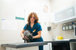 © Gonzalo Infiesta - Female veterinarian examining cat in veterinary clinic