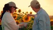 © Victoriia - Business people in sunflower plantation. Farmers man woman working together with computer tablet in sunflower field. Teamwork business partners inspecting sunflower field at sunset.