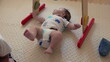 © Marco - Baby lying on mat engaging with wooden play gym, reaching for hanging toys, sensory development, infant curiosity, early motor skills, playful exploration, interactive playtime