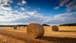 © Cory - round hay bales on a mowed field under a cloudy blue sky