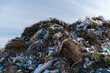 © Роман Булатов - Landfill Site Full of Waste Materials Near a City Area With Plastic, Garbage, and Organic Debris Mixed Together During Daytime Hours