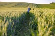 © sofiko14 - A mother and her child walk through a lush green wheat field under a clear sky, enjoying a serene moment together