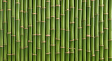 Realistic background of green bamboo stalks arranged vertically, showing natural texture and repeating pattern. Ideal for nature, tropical, eco, zen, and organic design themes.
