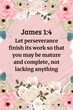 © Marthina - Motivational Bible verse from James 1:4 presented on a soft pink floral background, christian homedecor idea scripture wallart