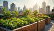 © Paozaa - Urban gardening event rooftop vegetable planting city skyline photo sunlit environment aerial view sustainable living