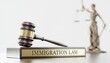© Sabitul  Islam - Immigration law concept with gavel and justice statue on wooden base in office
