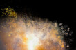 © Elly Miller - Bright fireworks against the black sky.