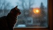 © Farzana Graphics - Cat watches rain through window, raindrops on glass with blurred outdoor light, cozy indoor scene with pet looking out
