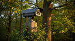 © Aira - Surveillance camera mounted on wooden post in forest setting