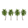 © creative_rabbi - Four lush green palm trees with textured fronds and brown trunks isolated on a transparent background