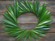 © MORAD - A circular pattern of palm leaves set against a rustic wooden background