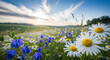 © THIBNH - Vibrant summer field meadow with blooming chamomile flowers and blue wild peas under a clear morning sky filled with soft white clouds, picturesque natural landscape scenery at sunrise.