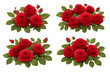 © Danila - Different arrangements of red roses on white background with green