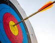 © Jendela - Arrow hits target bullseye for success in archery sport; hitting goal on colorful board
