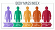 © naufal - Body mass index infographic showing colorful silhouettes of male figures from underweight to obese with measurement scales, concept for occupational health, fitness app and medical report