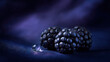 © Igor - Ripe Black Mulberries with Dew Drop on Textured Surface