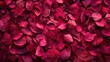 © Solikah - Vivid pink autumn leaves background
