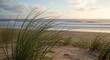 © Asset Arc - Grassy dunes gently swaying in coastal breeze overlook calm ocean waves washing onto sandy beach at golden sunrise