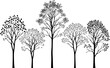 © AbdullaAlMamun - Black silhouette of deciduous trees with dense foliage against a white background