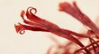 © MUHAMMAD - Dried Red Saffron Threads Macro Close Up Isolated on Light Background, Premium Spice Strands Texture, Luxury Culinary Ingredient, Heap of dried red saffron spice threads