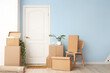© Pixel-Shot - Chair with cardboard boxes and plants near door in hallway on moving day